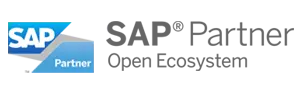 Zoho Technology Partner